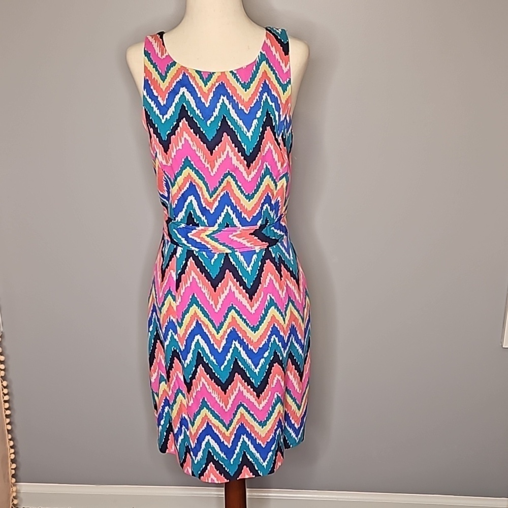 Lilly Pulitzer Kirkland Hearts a Flutter Chevron Keyhole Back Colorful Dress - Picture 2 of 8